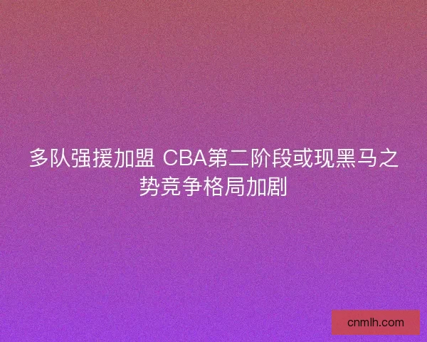 多队强援加盟 CBA第二阶段或现黑马之势竞争格局加剧